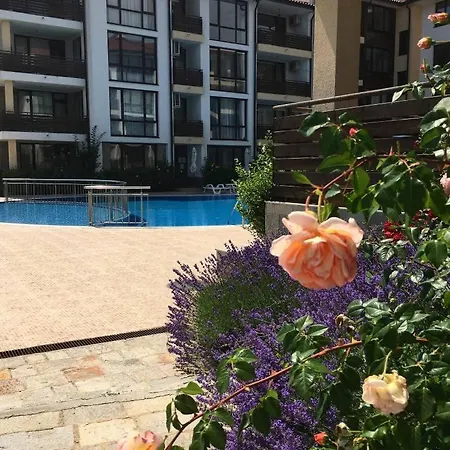 Summer In Viyana *